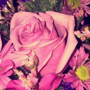 Meet your Posher, Brianna